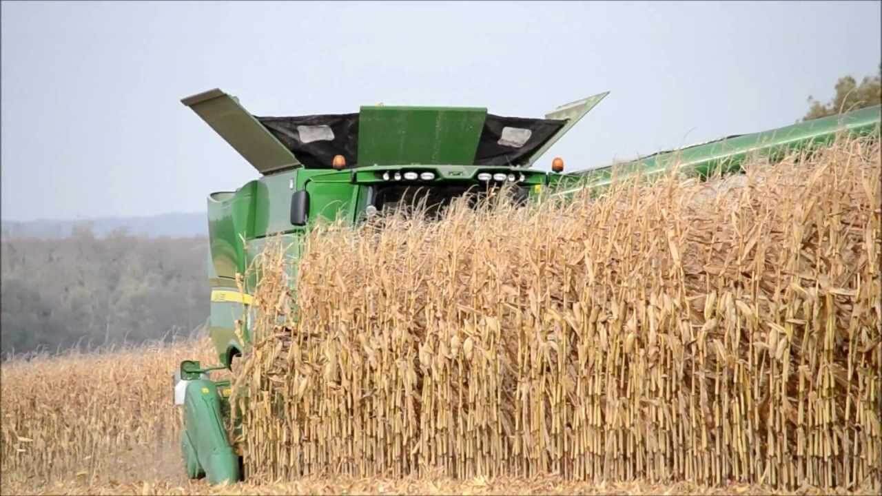 corn combine harvester
