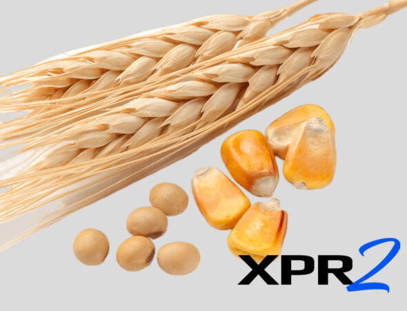 wheat-corn-soybeans xpr2